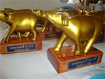 Golden Buffalo Award