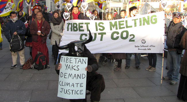 Yaktivists at Copenhagen Climate Change Conference, December 2009—one of the first major protests by Tibetan groups focusing on climate change and environmental damage in Tibet